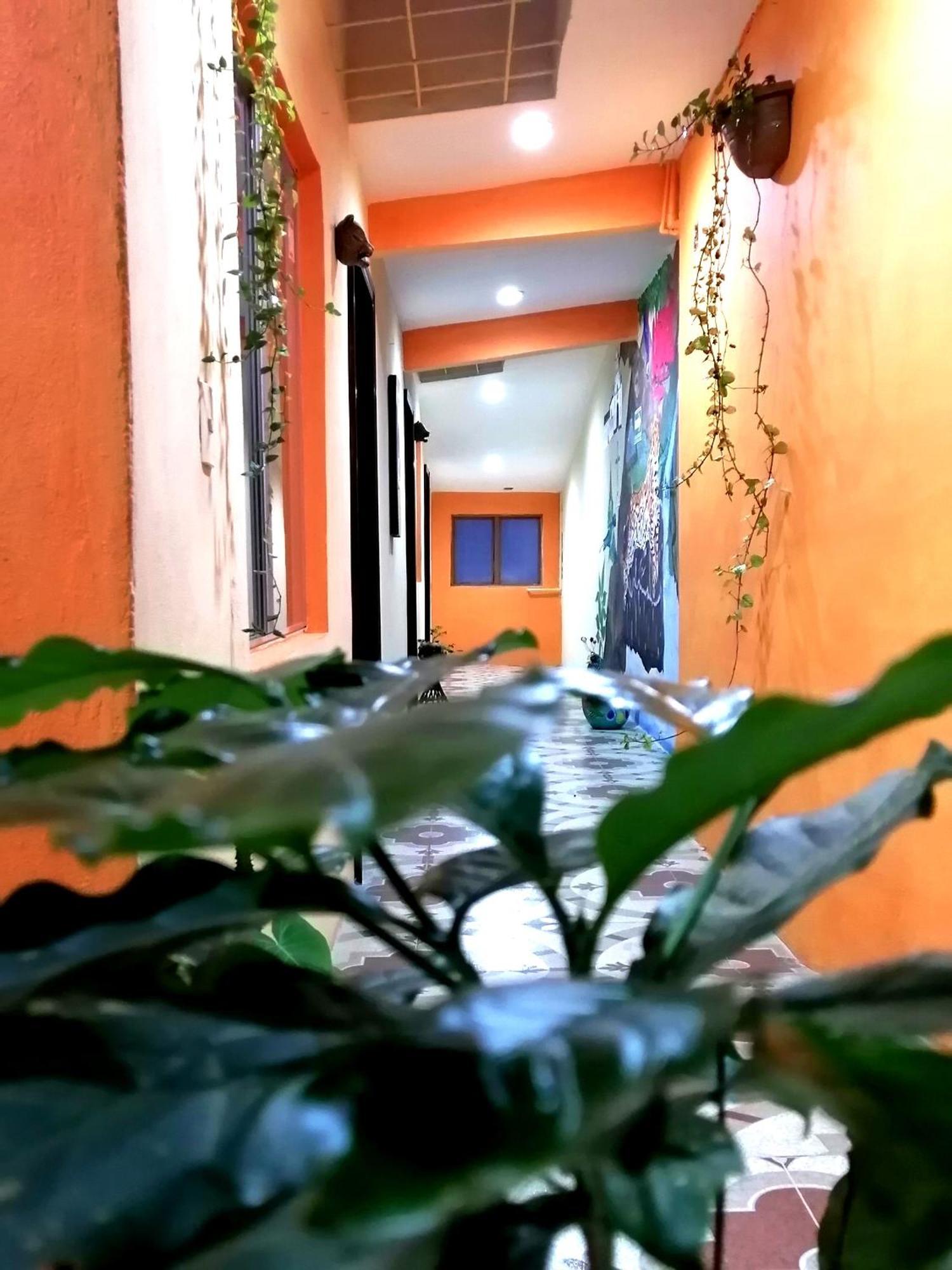 Hotel Amayal San Cristobal de las Casas Exterior foto