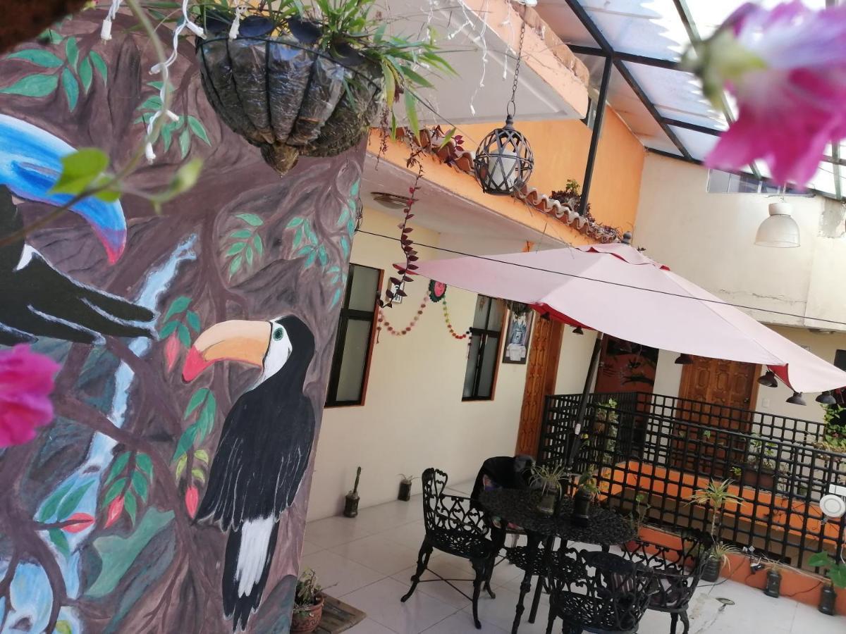 Hotel Amayal San Cristobal de las Casas Exterior foto